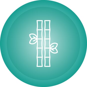 Bamboo Vector Icon