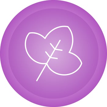 Leaf Vector Icon