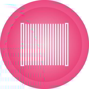 Barcode Vector Icon