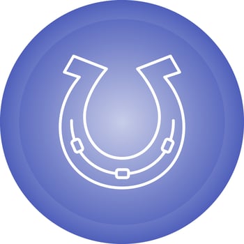Horse Shoe Vector Icon