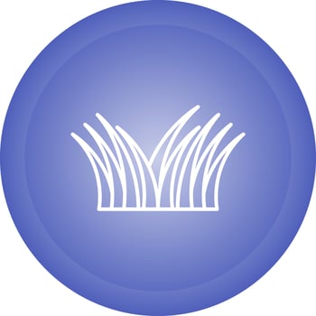 Grass Vector Icon