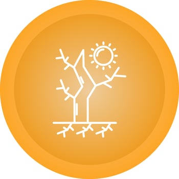 Drought Vector Icon