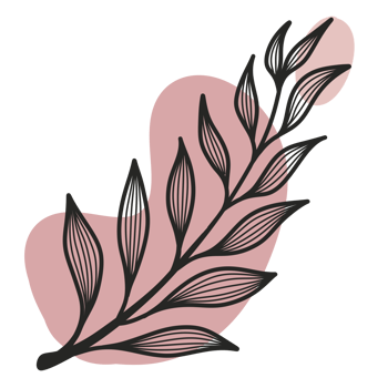 Line Art Leaf png