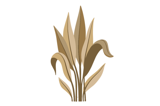 Modern object flower, food, work, silhouette, furniture and liftstyle png