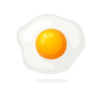 Illustration of one fried egg vector