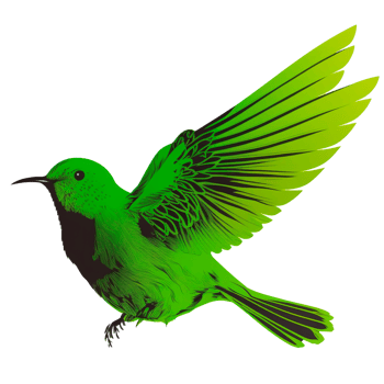 green bird cartoon character png