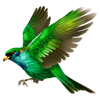 Bird Amazonian motmot Drawing Feather png
