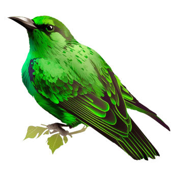 Beautiful green bird isolated on transparent background png