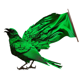 Bird Parrot Turkey vulture Green honeycreeper png