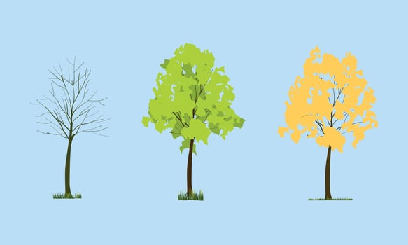 Different seasons of art tree. Vector illustration.