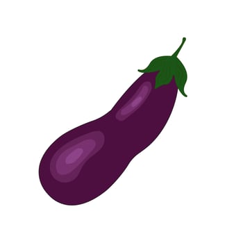 Purple eggplant. Vector icon. Healthy fresh food and vegetables. Harvest and vegetable garden. Vegetable seeds