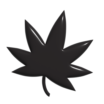 3d icon leaf png