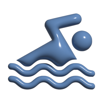 3d icon of swim png