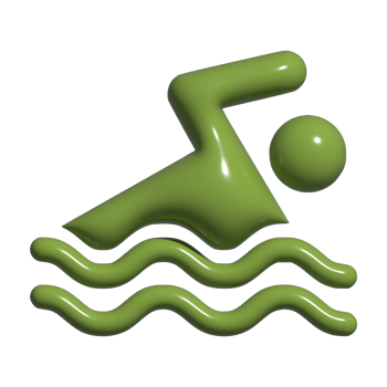 3d icon of swim png