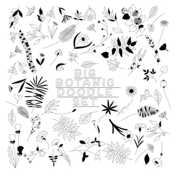 Floral branch and minimalist leaves for logo or tattoo. Hand drawn line wedding herb, elegant wildflowers. Minimal line art drawing for print, cover or wallpaper black and white vector