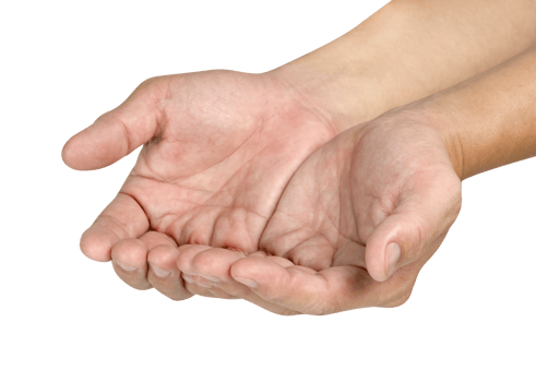 Two open the palm of the hand isolated png