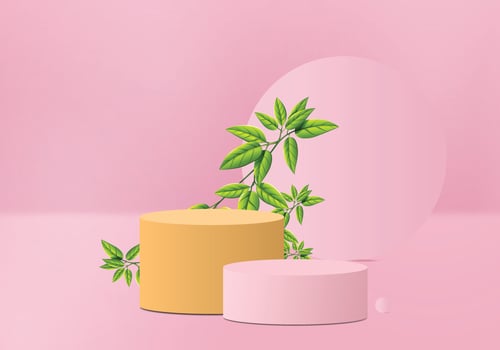 Contemporary Minimalist Arrangement with Leaves and a Podium vector