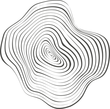 Topography line circles. Tree rings organic pattern. Nature wavy contour shape. Topographic icon png