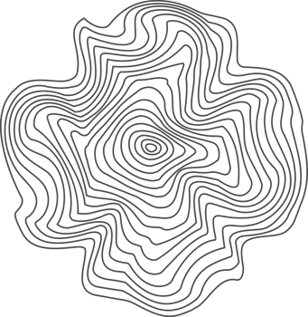 Topography line circles. Tree rings organic pattern. Nature wavy contour shape. Topographic icon png
