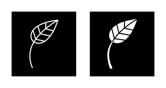 Leaf Vector Icon