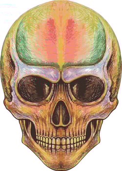 Art smile skull. Hand drawing and make graphic vector. vector