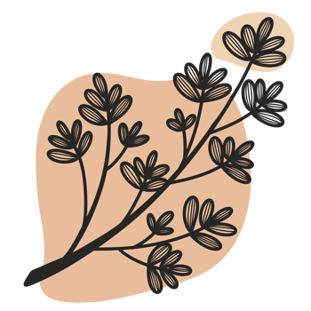 Line Art Leaf png
