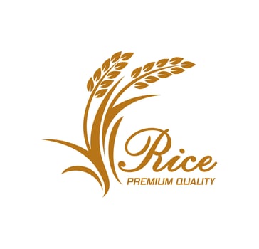 Rice icon, ears of cereal food plant and grains vector