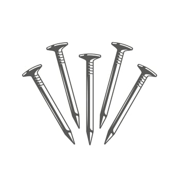 Nails isolated on white background vector