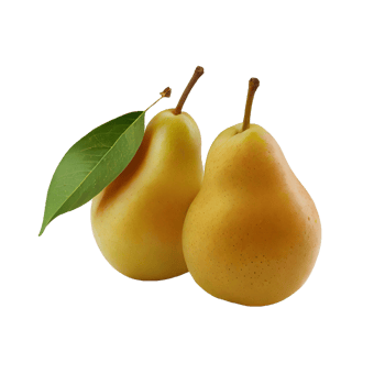 Pear fruit png, Pear on transparent background png