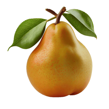 Pear fruit png, Pear on transparent background png