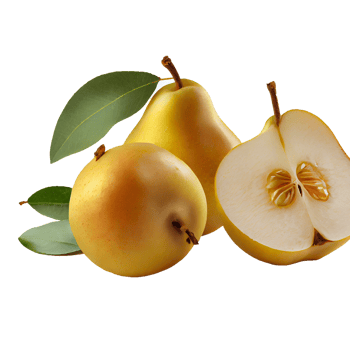Pear fruit png, Pear on transparent background png