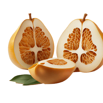 Pear fruit png, Pear on transparent background png
