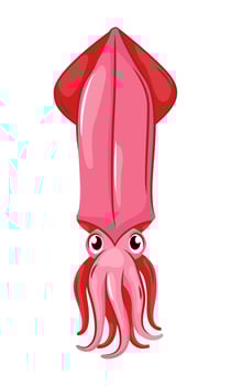 Vector illustration of marine animals - squid, cuttlefish. Seafood delicious seafood restaurant.