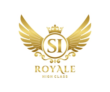 Golden Letter SI template logo Luxury gold letter with crown. Monogram alphabet . Beautiful royal initials letter. vector