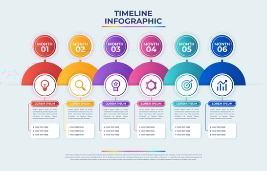 Monthly Timeline Infographic vector