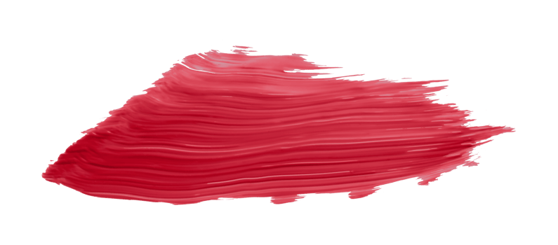 Ruddy brush isolated on transparent background, Scarlet Sage red brush, png