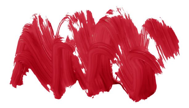 Ruddy brush isolated on transparent background, Scarlet Sage red brush, png