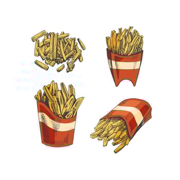 Hand-drawn colored sketch set of  french fries in a box  isolated on white background. Fast food illustration. Vintage drawing. Great for menu, poster or restaurant background. vector