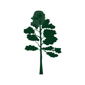 Illustration of trees,easy drawing. png