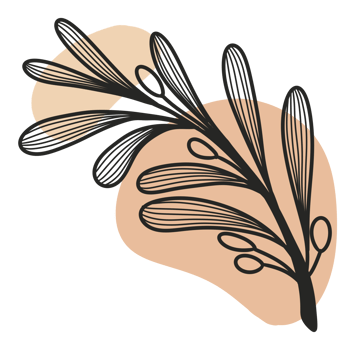 Line Art Leaf png