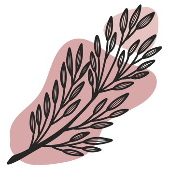 Line Art Leaf png