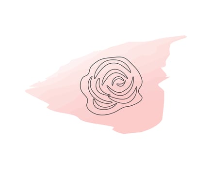 Rose on a watercolor background vector