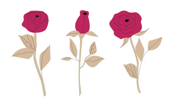 Vector roses isolated on white background.