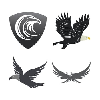 Falcon logo template vector