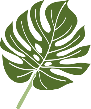 Simplicity monstera leaf freehand drawing png