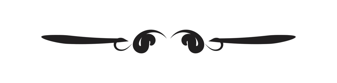 Simple Divider with black color on white background vector