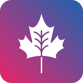 Maple Icon Vector Design