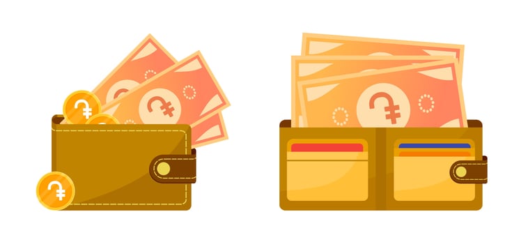 Wallet with Armenian Dram Money vector