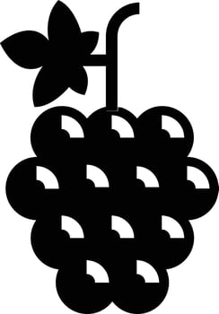 grapes Illustration Vector