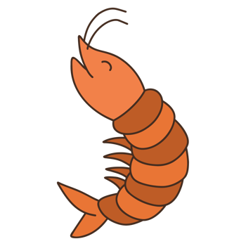 shrimp cartoon illustration png